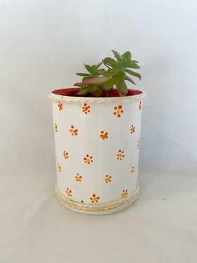Vaso Branco Com Planta